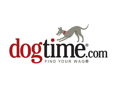 Expert Advice for Pet Owners Who Travel